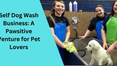 Self Dog Wash Business: A Pawsitive Venture for Pet Lovers