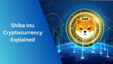 Shiba Inu Cryptocurrency Explained